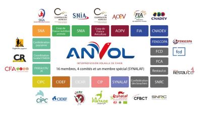 Anvol